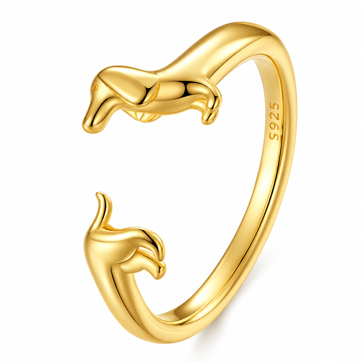 Anillo Salchi