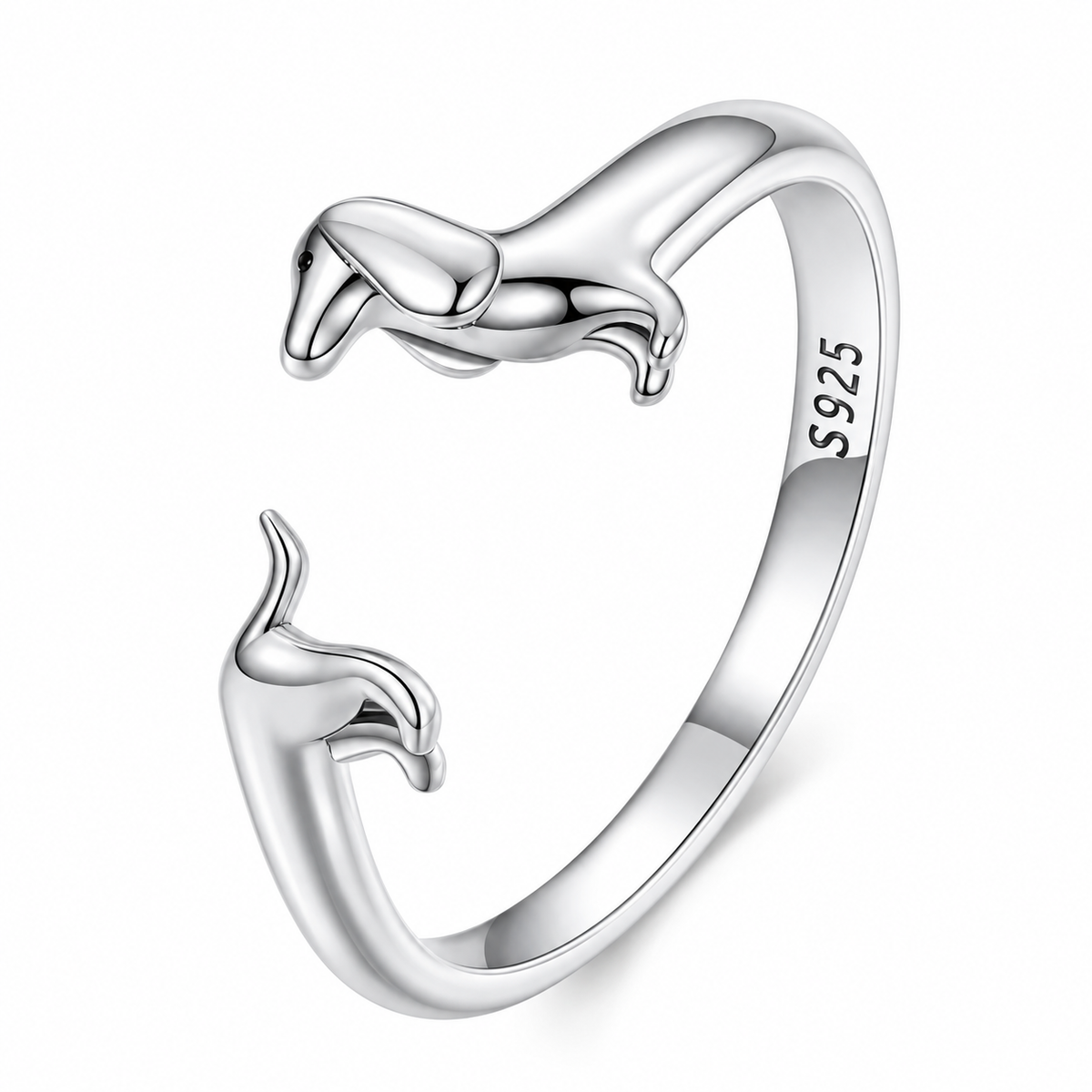Anillo Salchi