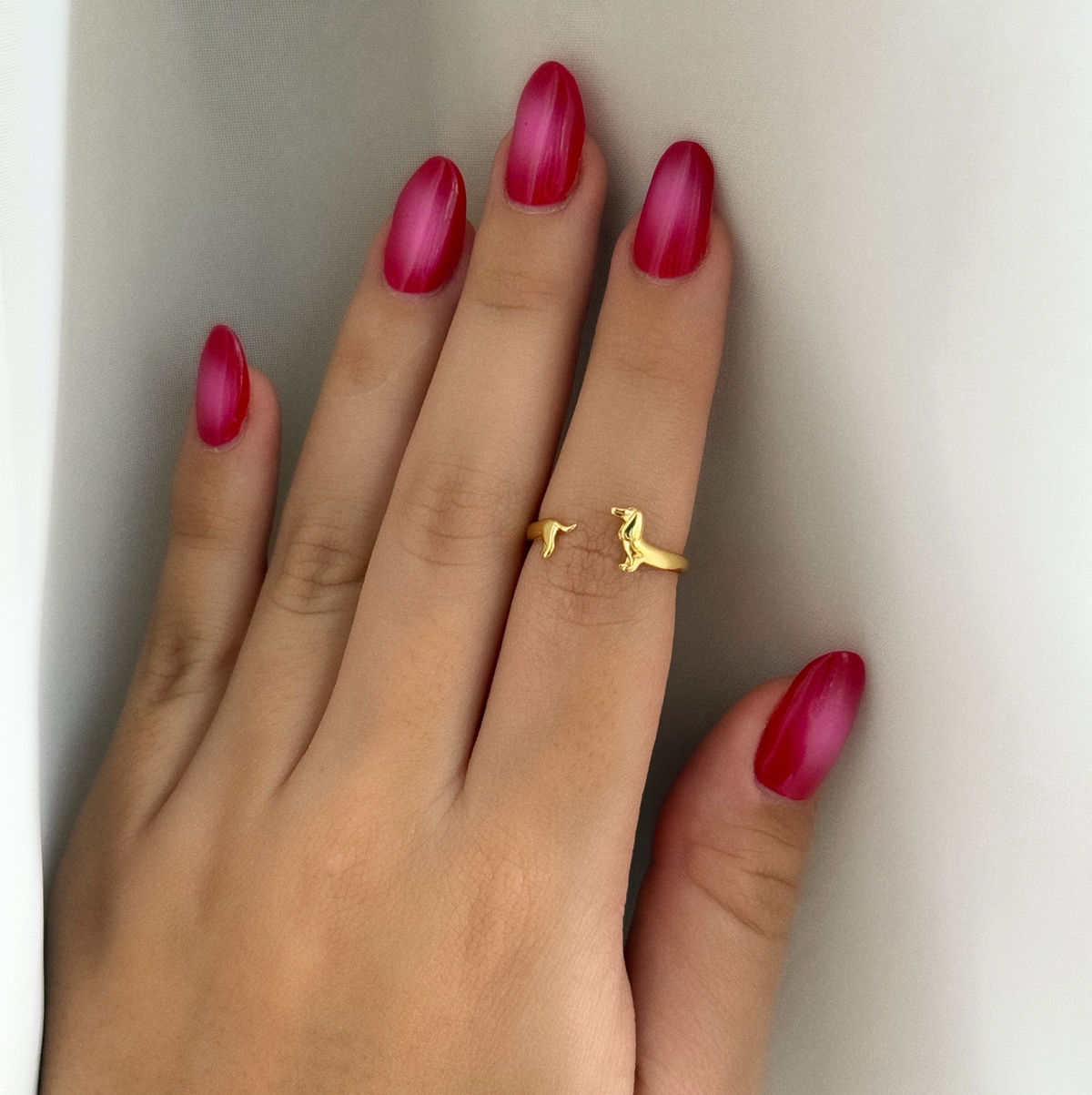 Anillo Salchi