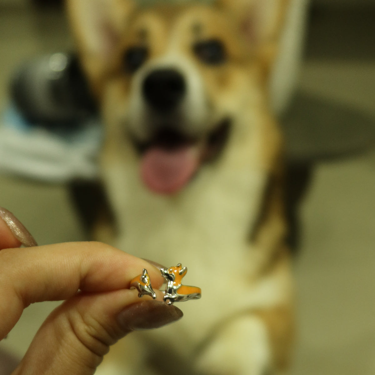 Anillo Corgi