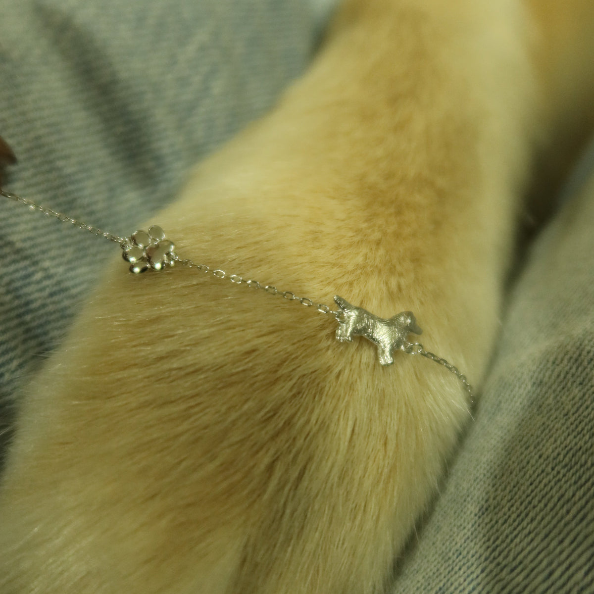 Brazalete Perrito Golden