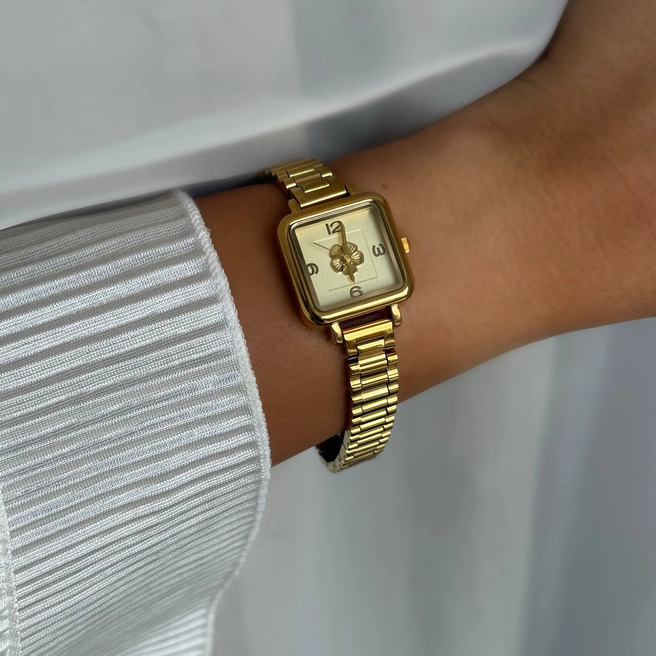 Bloom Watch